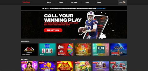 bodog coupon code